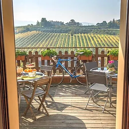 Con Vista 3* Faenza