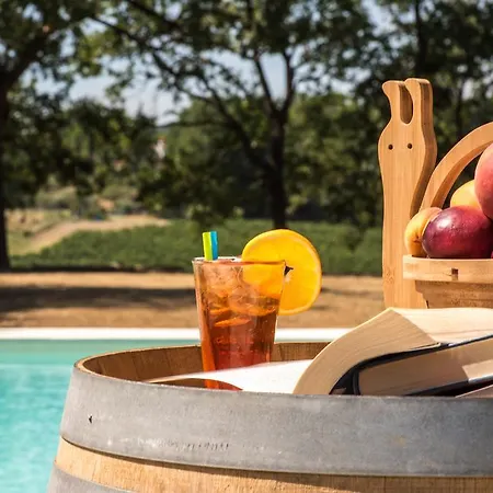 Bed & Breakfast Con Vista Faenza