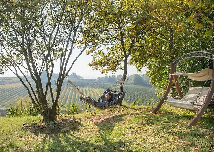 Con Vista B&B 파엔차